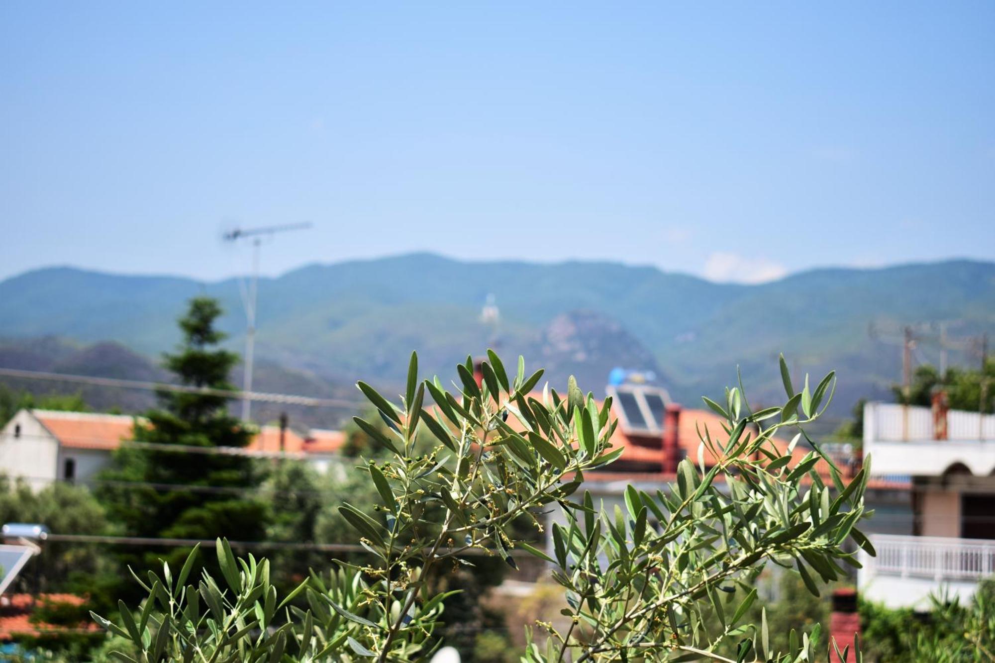Apartments Anesis Pantazis Asprovalta Exterior photo